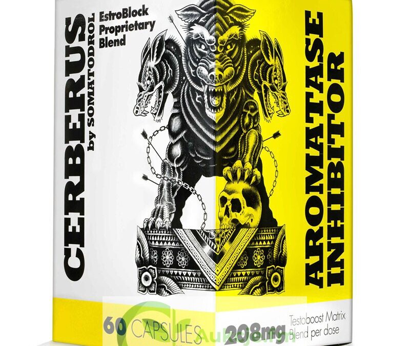 Cerberus – tabletki na przyrost masy mięśniowej